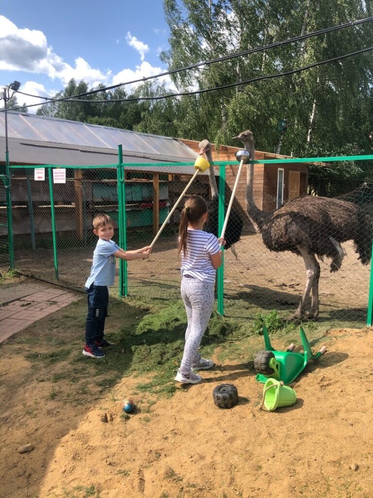 Клязьминское водохранилище - Мини ферма Страус